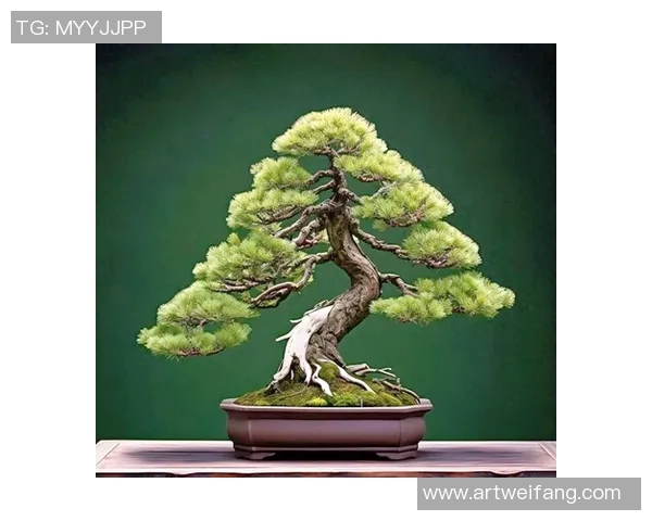 世界盆景大赛盛大开幕中国扬州展现传统艺术魅力与创新精神